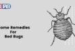 home remedies for bed bugs